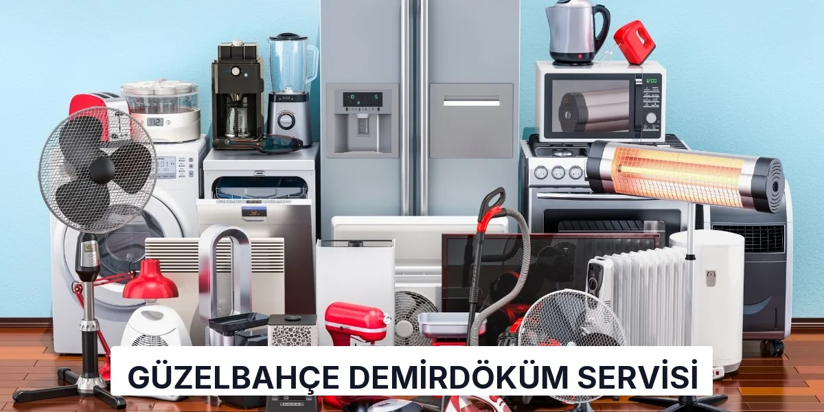 Güzelbahçe Demirdöküm Servisi