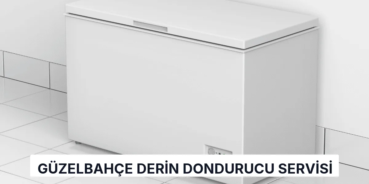 Güzelbahçe Derin Dondurucu Servisi