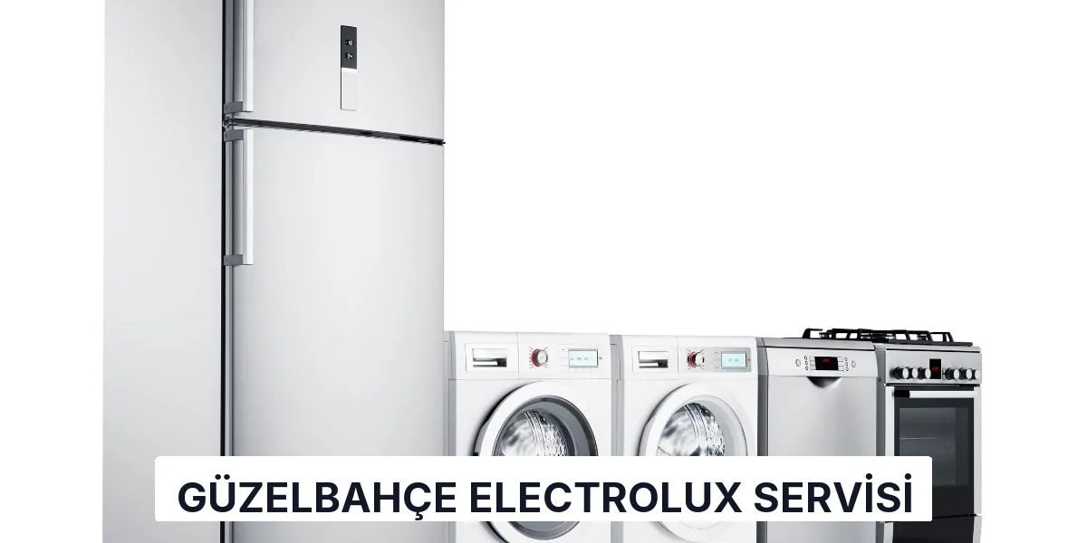 Güzelbahçe Electrolux Servisi