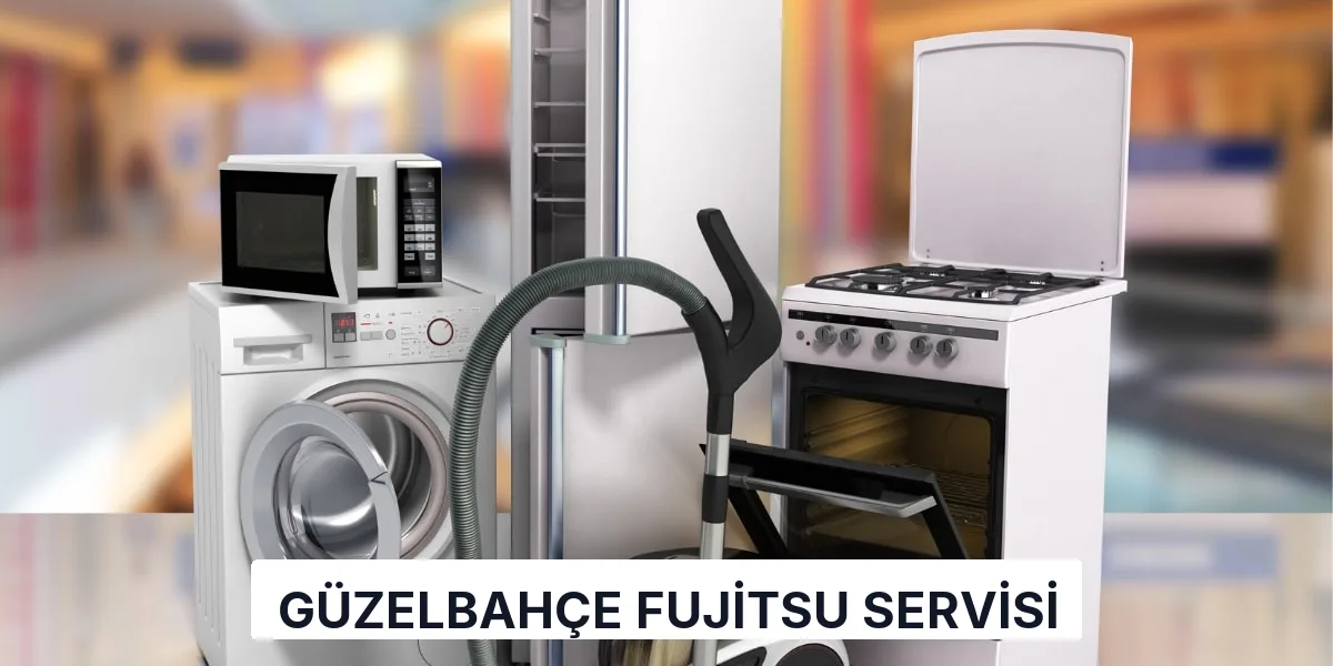 Güzelbahçe Fujitsu Servisi