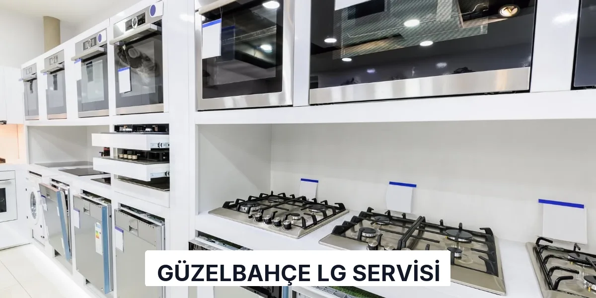 Güzelbahçe LG Servisi