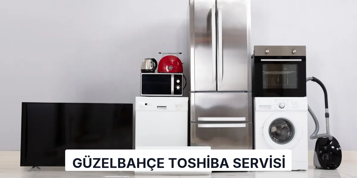 Güzelbahçe Toshiba Servisi