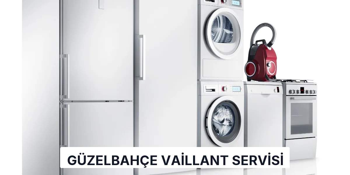 Güzelbahçe Vaillant Servisi